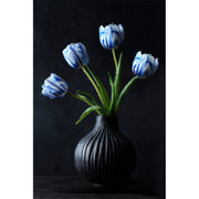 Gestreifte Tulpen