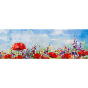 Feld mit Schlafmohn