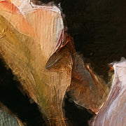 Calla-Lilien