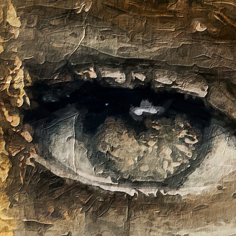 frag copy1651.jpg
