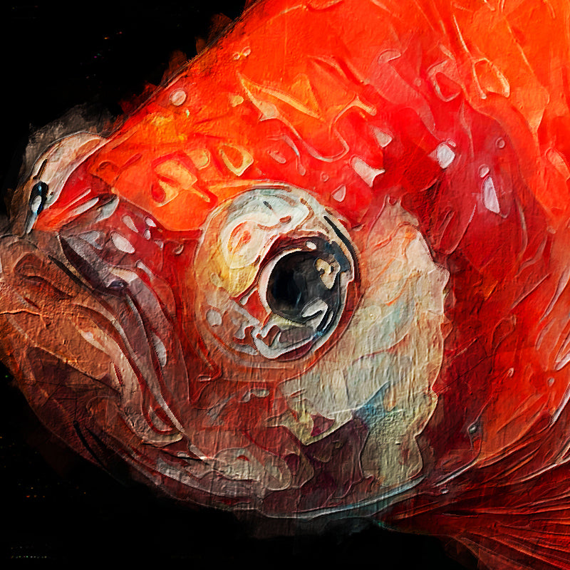 Gemälde drei Fische