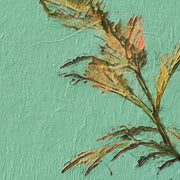 Blumen im Haar II
