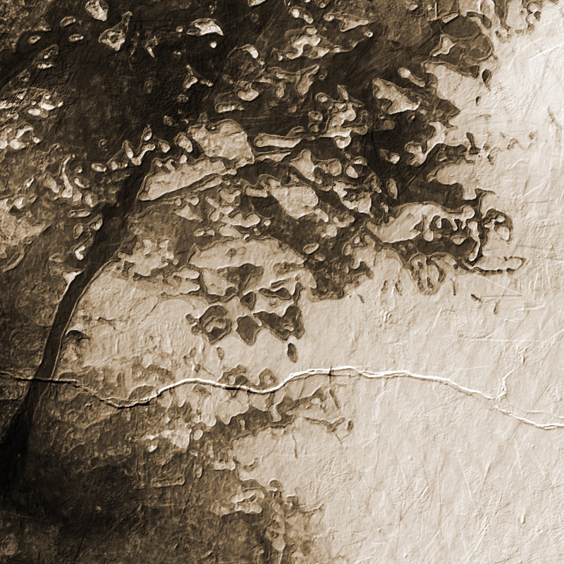 Die Stille der Natur