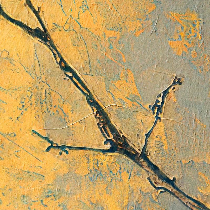 fragment copy3464.jpg