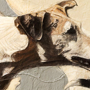 Spielende Hunde