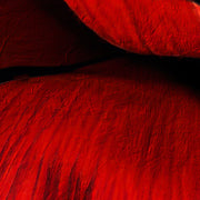 Klatschmohn Art II