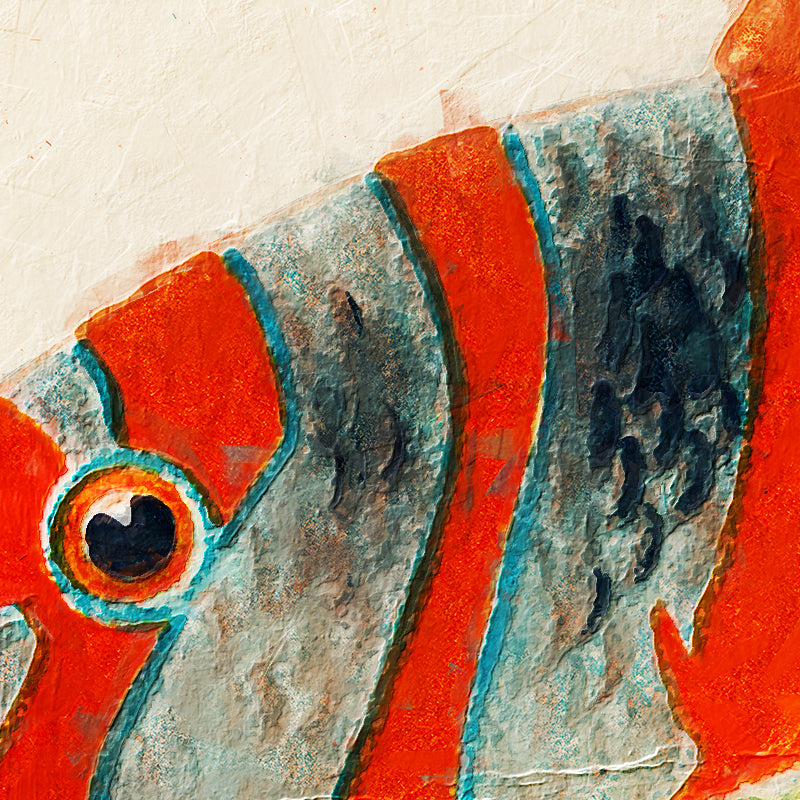 Fische des Great Barrier Reefs - William Saville-Kent