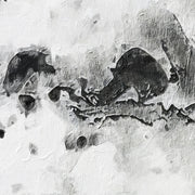 Gesicht schwarz-weiß