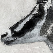 Hirschartige Art