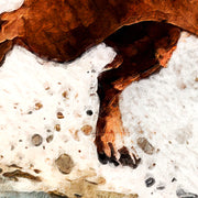 Hund und Möwe