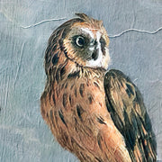 Amsterdamer Palast mit exotischen Vögeln - Melchior d’Hondecoeter