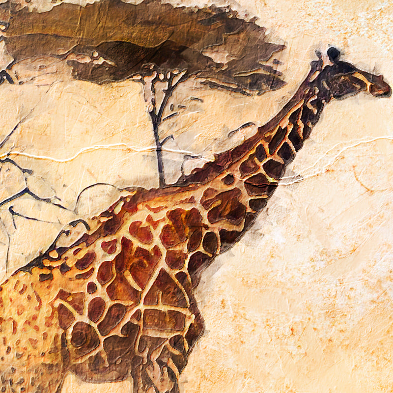 Giraffensavanne