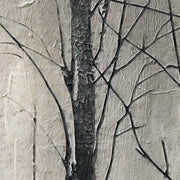 Landschaft in Schwarz-Weiß