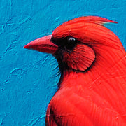Vogel auf Ast