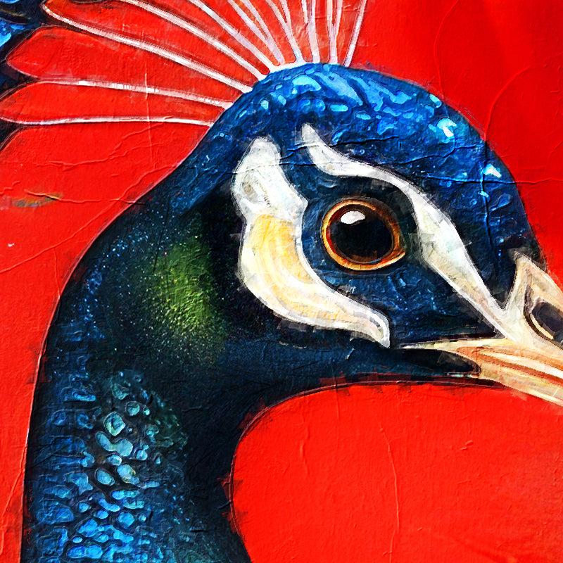 Pfau in Rot