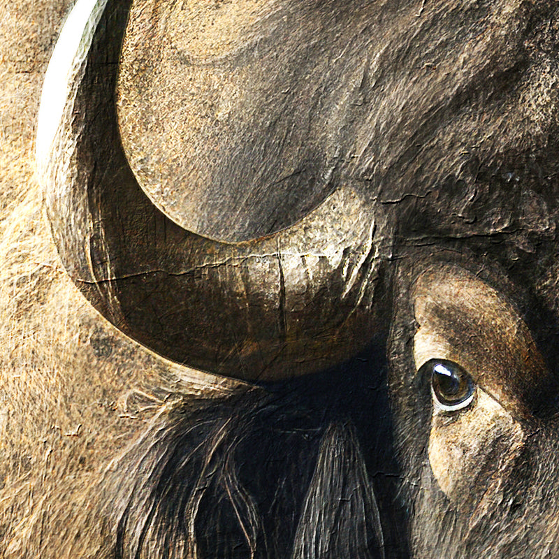 Schöne Stier-Kunst