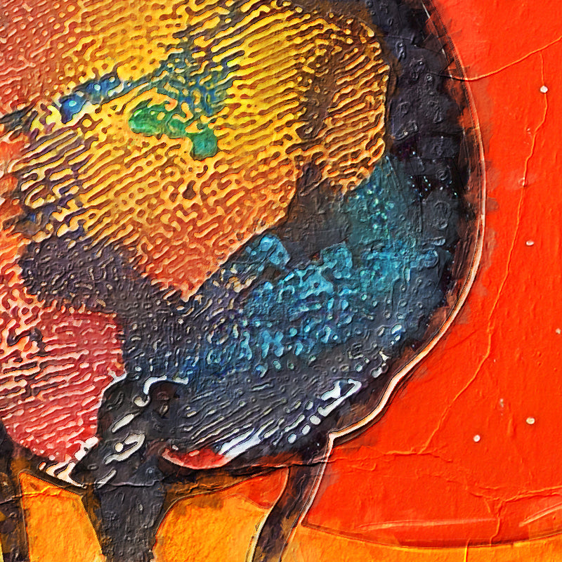fragment_c-1289.jpg