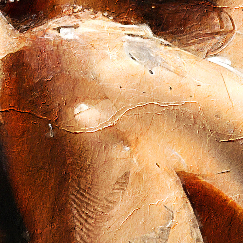 fragment_c-1299.jpg