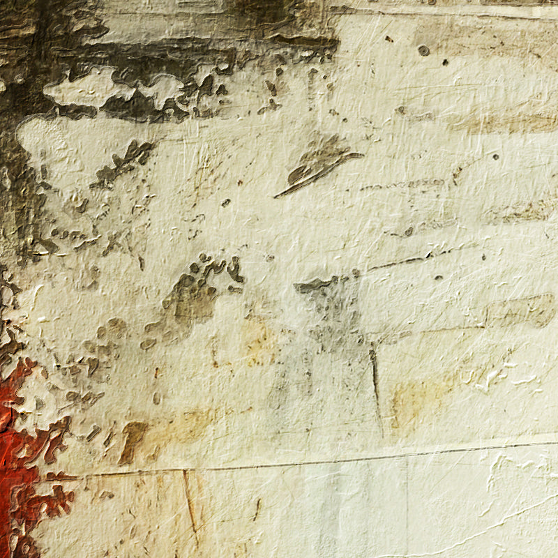 fragment_c-1308.jpg