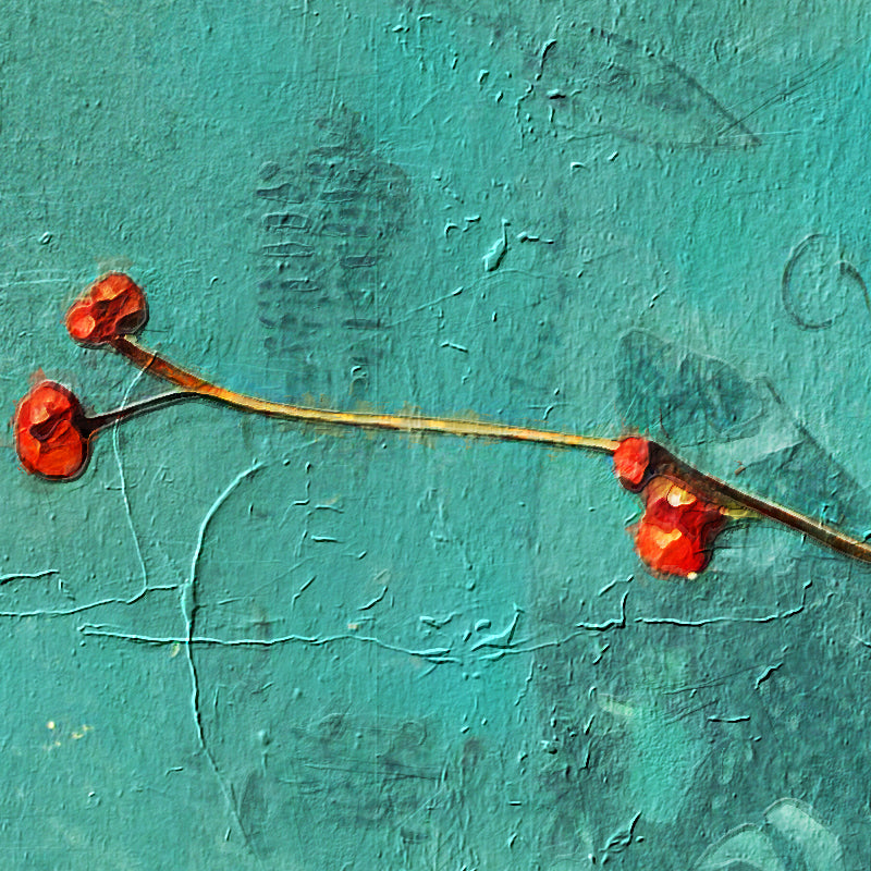 fragment_c-1349.jpg