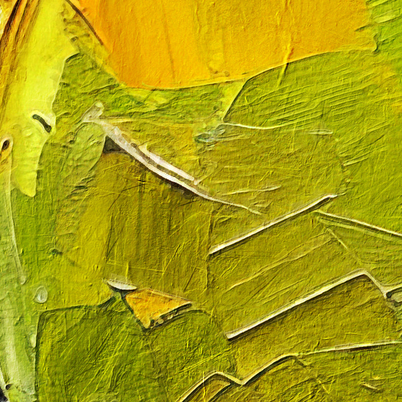 fragment_c-1471.jpg