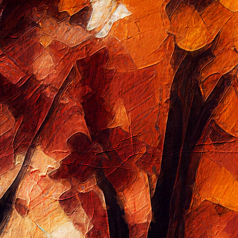 fragment_c-1475.jpg