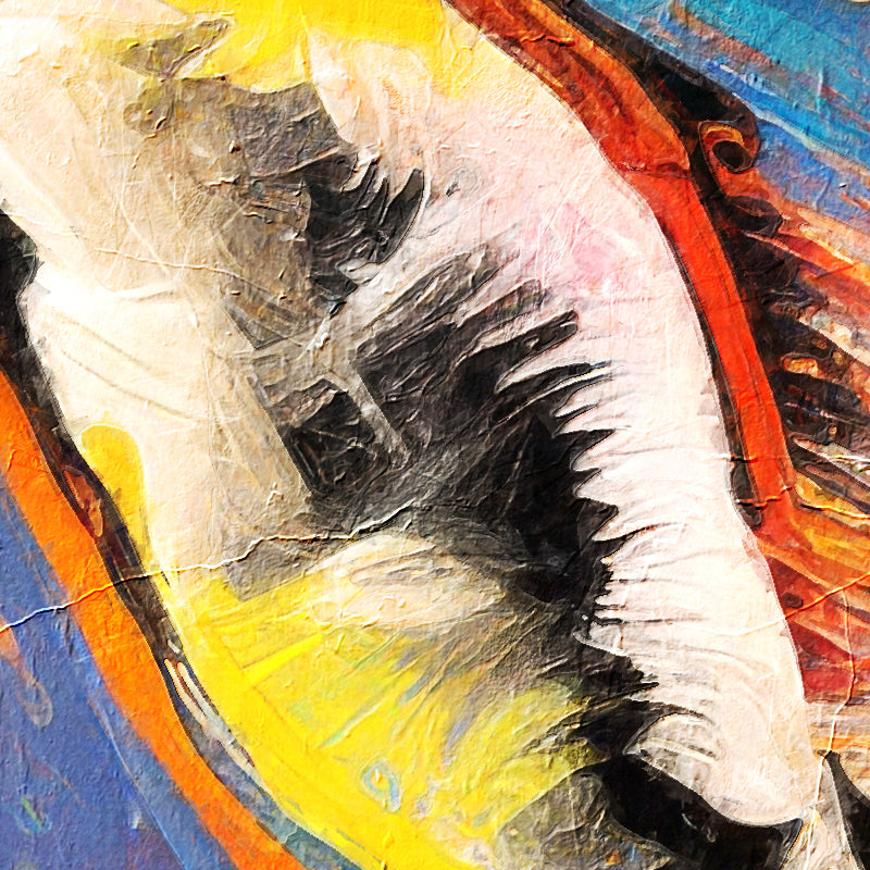 fragment_c-1481.jpg