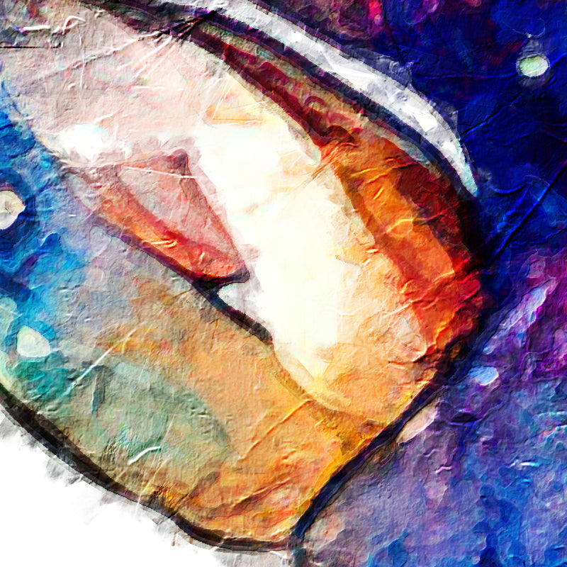 fragment_co-287.jpg
