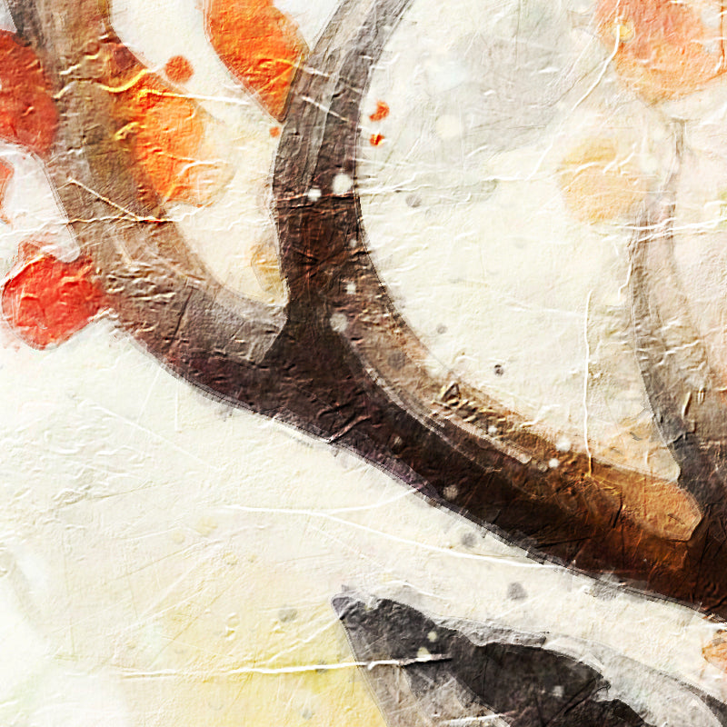 fragment_co-453.jpg