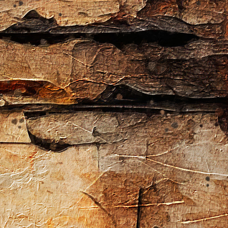 fragment_co-672.jpg