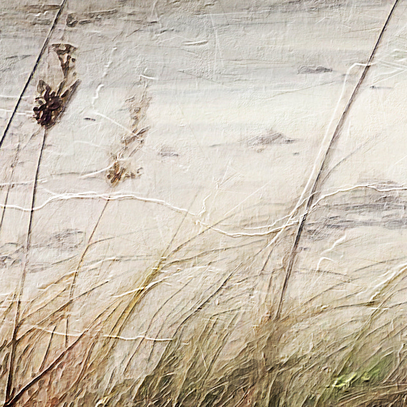 Meer, Strand, Dünen IV