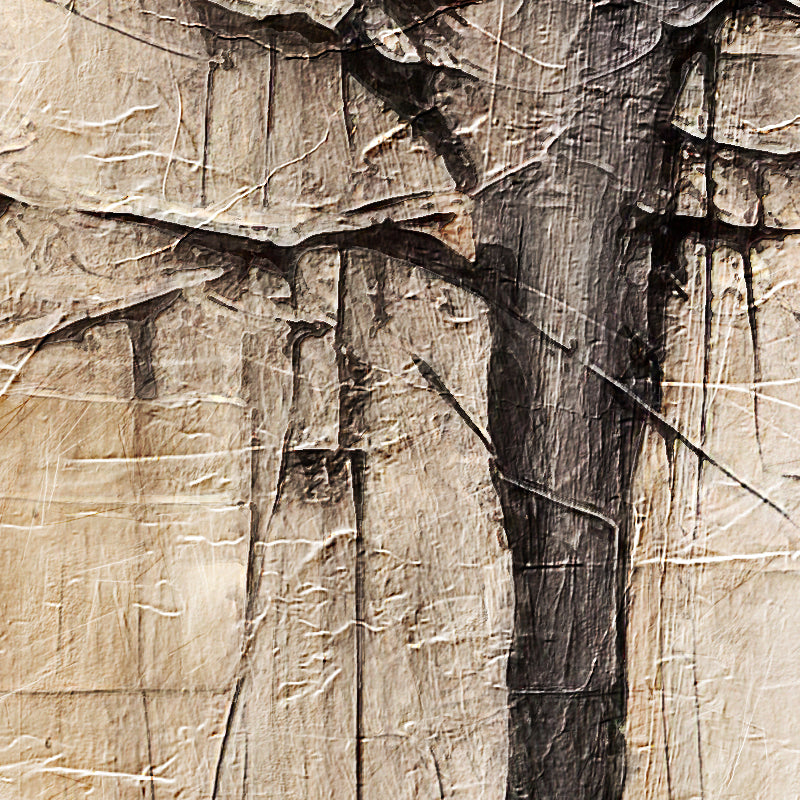 fragment_co-725.jpg