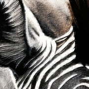Zebra schwarz-weiß