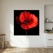 Klatschmohn Art II