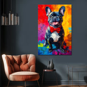 Französische Bulldogge