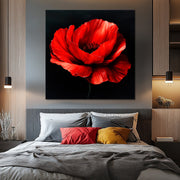 Klatschmohn Art