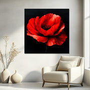 Klatschmohn Art
