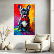 Französische Bulldogge