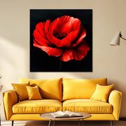 Klatschmohn Art