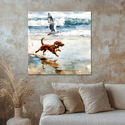 Hund und Möwe