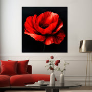Klatschmohn Art