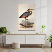Storch Vogel
