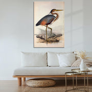 Storch Vogel