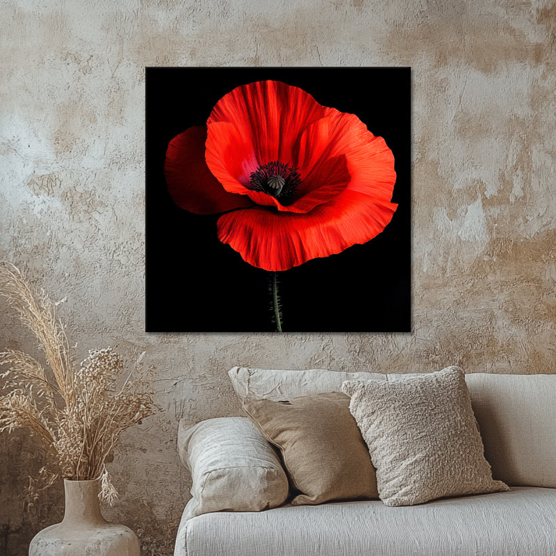 Klatschmohn Art II