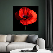Klatschmohn Art II