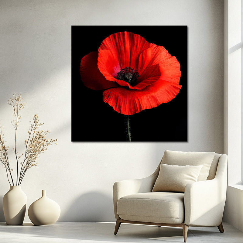 Klatschmohn Art II