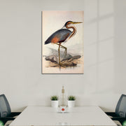 Storch Vogel