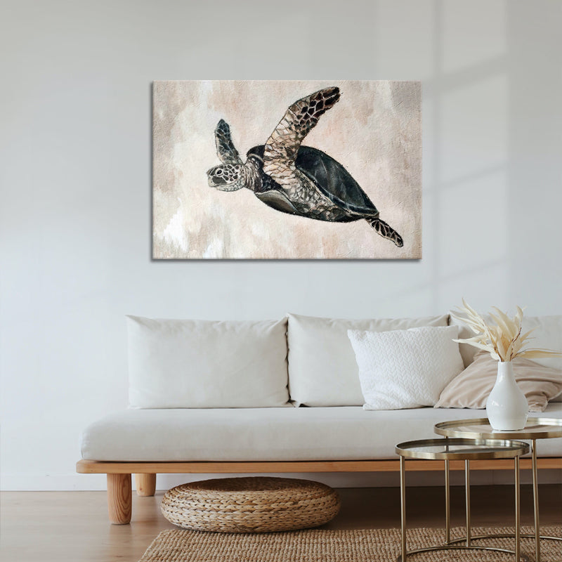 Schildkröte