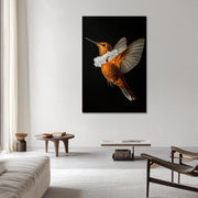 Kolibri