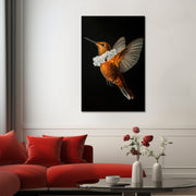Kolibri
